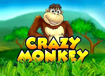 Безумная обезьяна и её веселые приключения в джунглях в Crazy Monkey